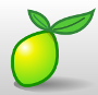 Limesurvey