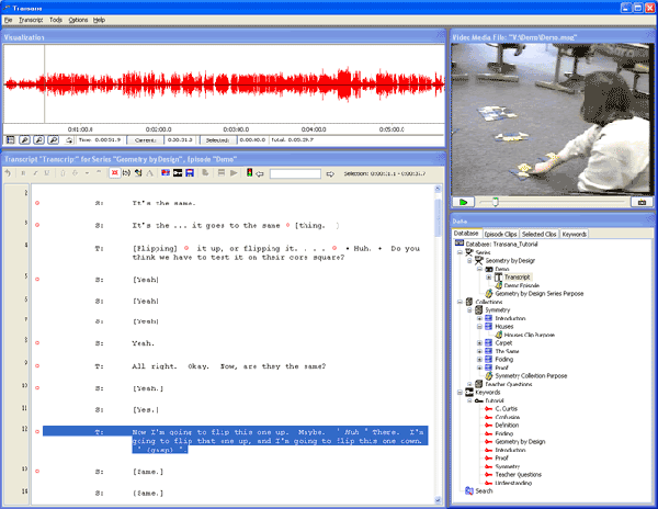 Screenshot Transana